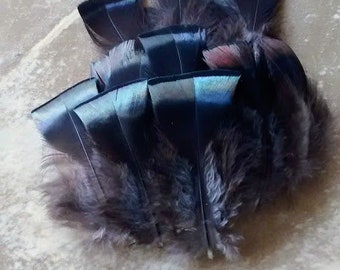 medium bronze turkey cruelty free feathers!  15 iridescent feathers. (3-5")  Rainbow shine!  free range, all natural, organic