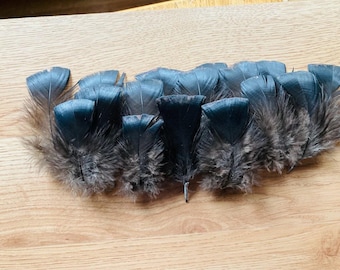 15 med small black turkey feathers, black with shiny edges feathers. 3-4"  cruelty free, pasture raised
