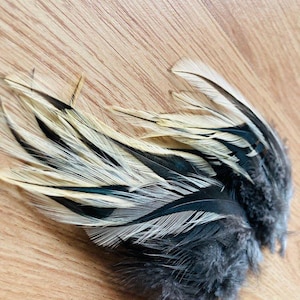 May include: Close-up of a cluster of decorative feathers. The feathers are a mix of black, white, and tan, with a fluffy, gray base. The feathers are arranged on a light brown wooden surface.