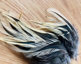 25 cruelty free black and gold rooster hackle feathers, organic, natural