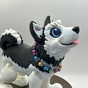 Dog - Husky Sled Dog