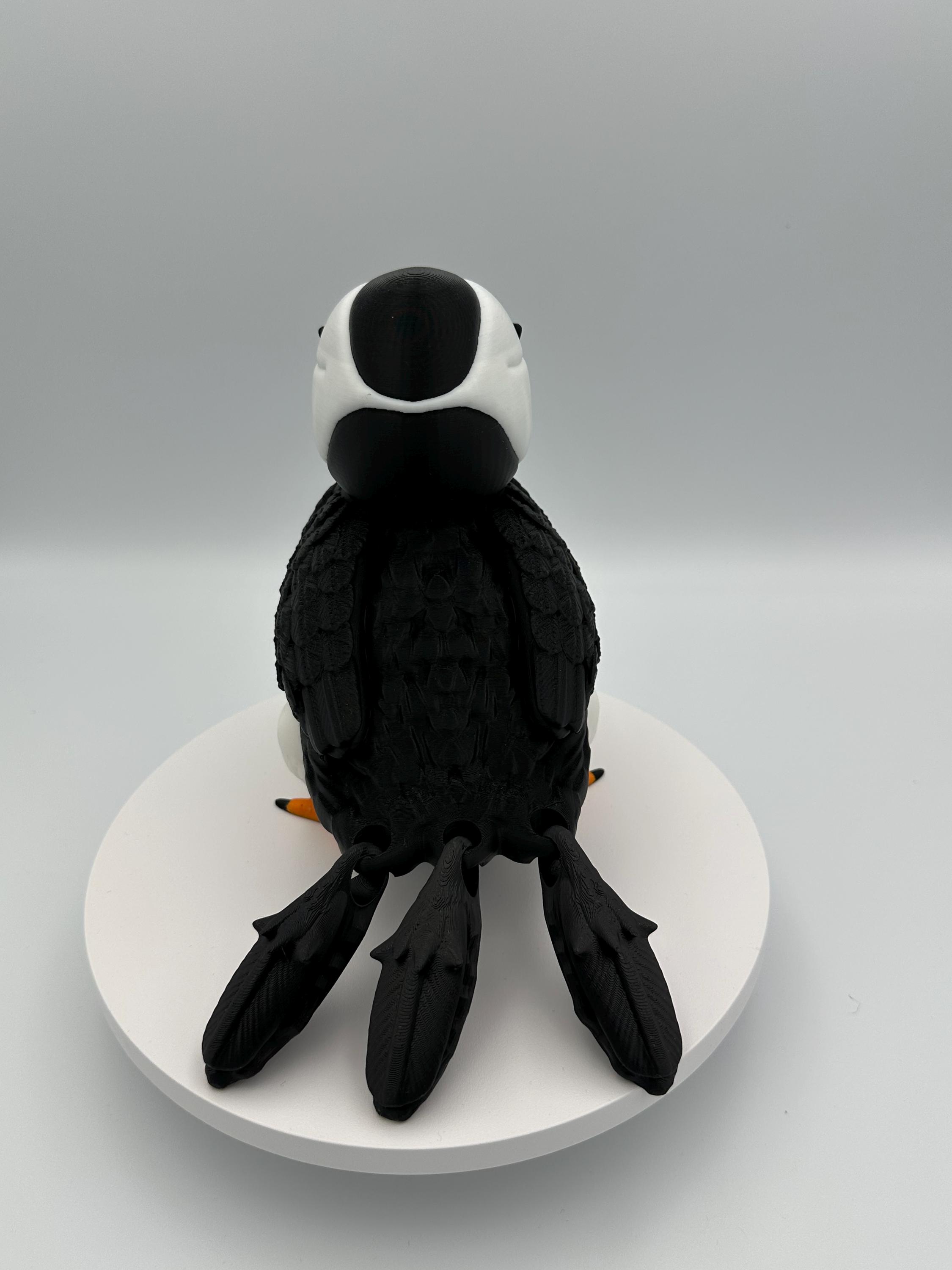 Puffin Model Puffin - 3d Printed Model - Flexi Animal - Etsy