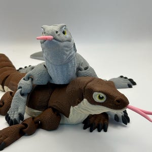 Komodo Dragon 3d Print
