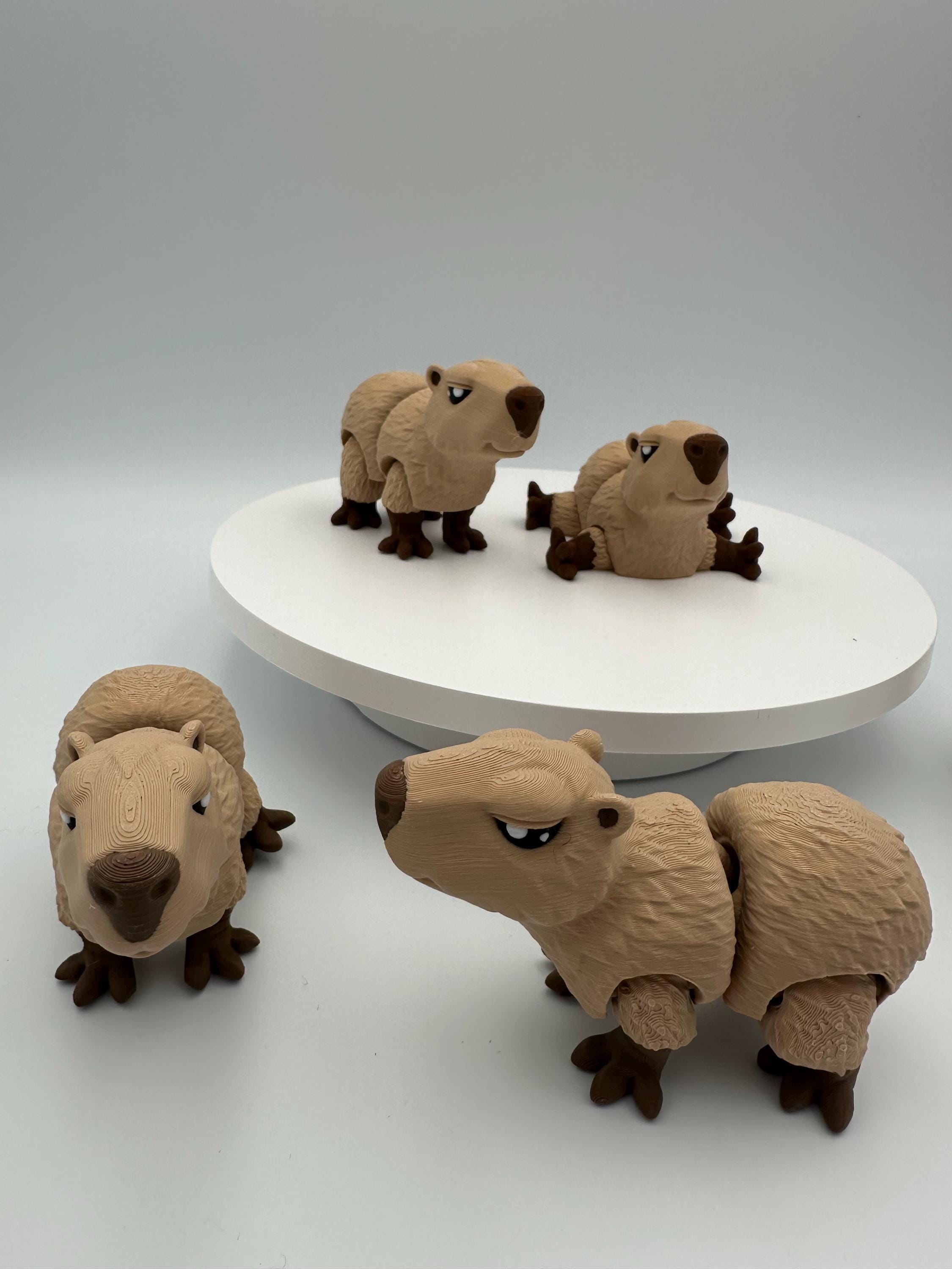 Capybara- Flexi Articulating 3d Print - Flexi Animal - Etsy