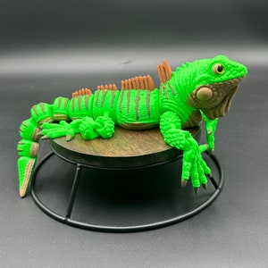 Flexi Iguana: 3D Printed Articulated Lizard - Flexi Articulating Animal