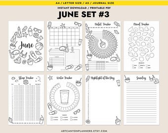 June Title Page Calendar Cover Page Printable Inserts Bullet Journal Bundle A4 A5 Half Size Letter Mood Tracker Habit Water Sleep Tracker