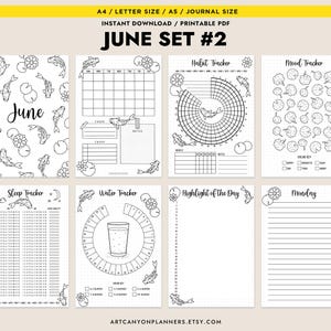 Puede incluir: Un conjunto de páginas de diario imprimibles con un tema de peces koi y nenúfares. Las páginas incluyen un calendario mensual, un rastreador de hábitos, un rastreador de estado de ánimo, un rastreador de sueño, un rastreador de agua y una página para los aspectos más destacados diarios. El texto "June Set #2" está en la parte superior.