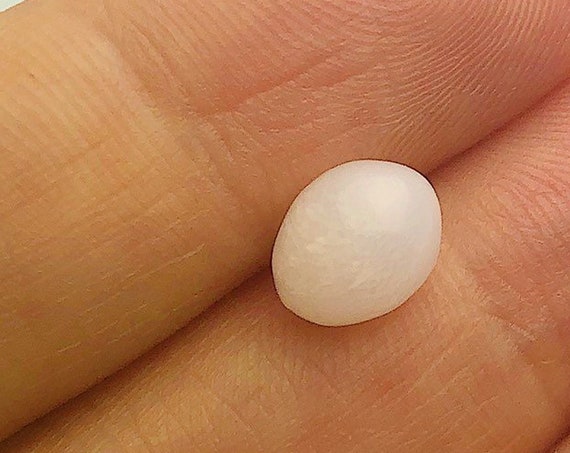 Tridacna White Clam Pearl Loose 8.60mm x 6.93mm No. 48
