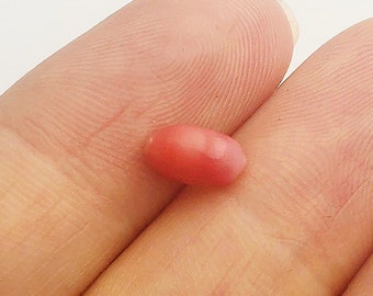 コンクパール ルース 8.02 mm x 4.06 mm No. 54 - Etsy 日本