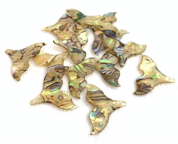 Abalone Tail Charm Sku#M33