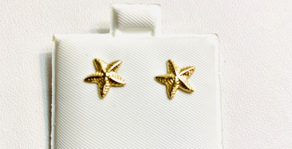 Starfish Earrings 14k Gold Filled 1822-4
