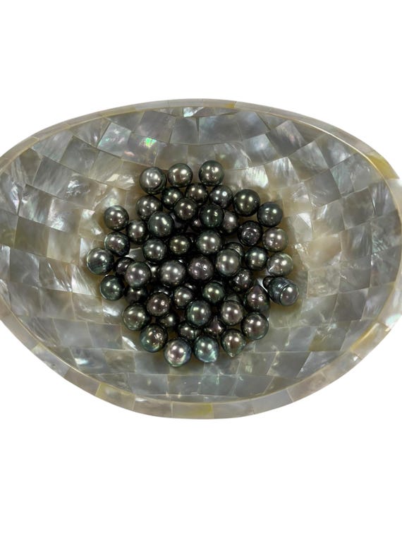 Tahitian peacock Pearlsdop  assortment, AA grade