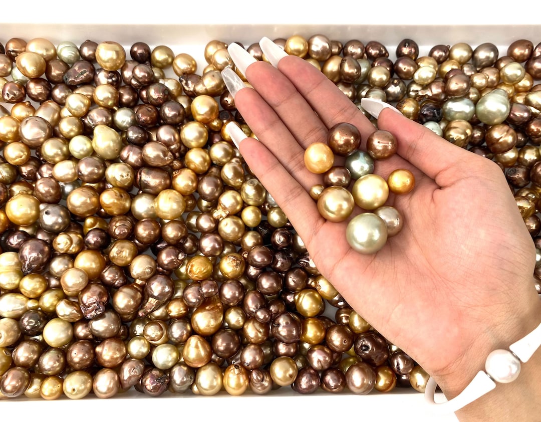 South Sea Pearls, AA1 Quality, Beautiful 10mm 17mm Chocolate & Golden South  Sea Pearls 