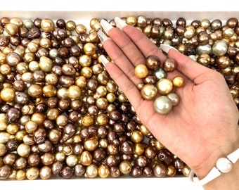 South sea pearls, AA1 Quality, Beautiful 10mm - 17mm Chocolate & Golden South Sea pearls