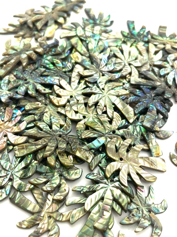 Abalone Palm trees