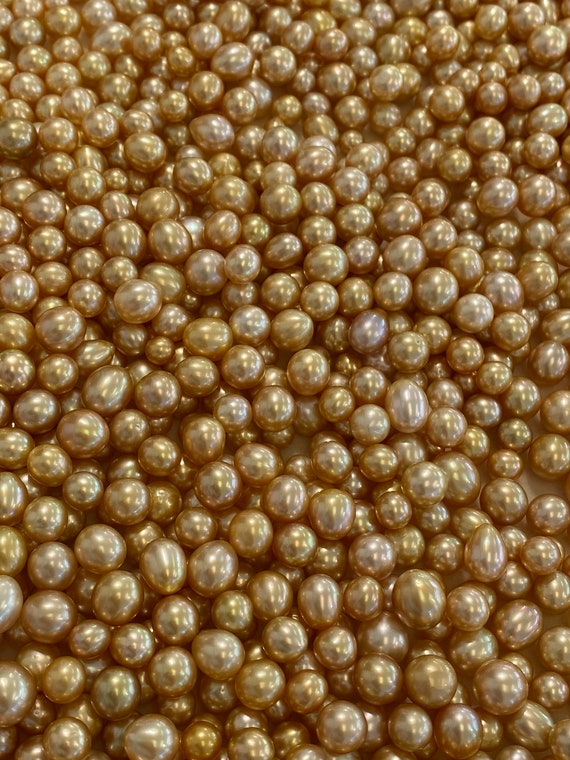 8mm to 11mm Golden South Sea Pearls, oval shapes, 100% natural colors