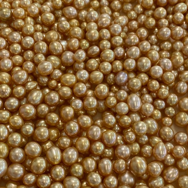 8mm to 11mm Golden South Sea Pearls, oval shapes, 100% natural colors