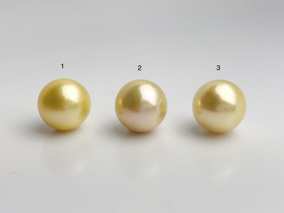 16mm - Golden South Sea Loose Pearls - Round - AA - 50% Percent Off Special, South Sea (#578 No. 1-3)