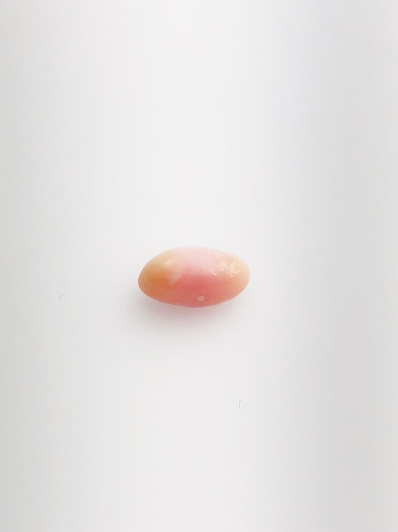 Conch Pearl Loose 12.1mm x 6.5mm No. 3