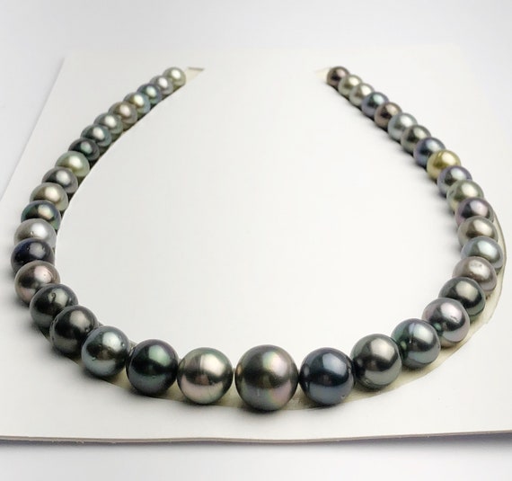 Loose Tahitian Pearls Set, Multicolor, Wholesale - Only 19 dollars per pearl - AA Quality (246)