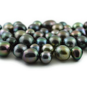 Tasaki Shinju - Etsy