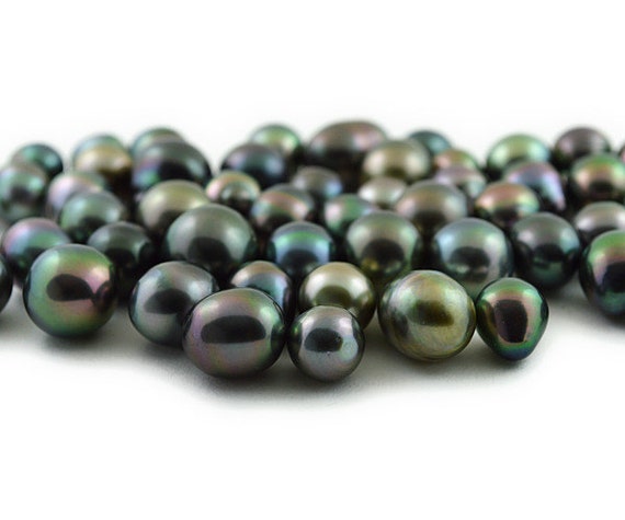 Loose Tahitian Pearls, Multicolor,  - AA Quality - Drops  (RF 23)