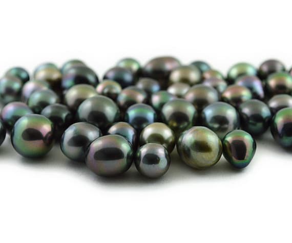 Loose Tahitian Pearls, Multicolor,  - AA Quality - Drops  (RF 23)