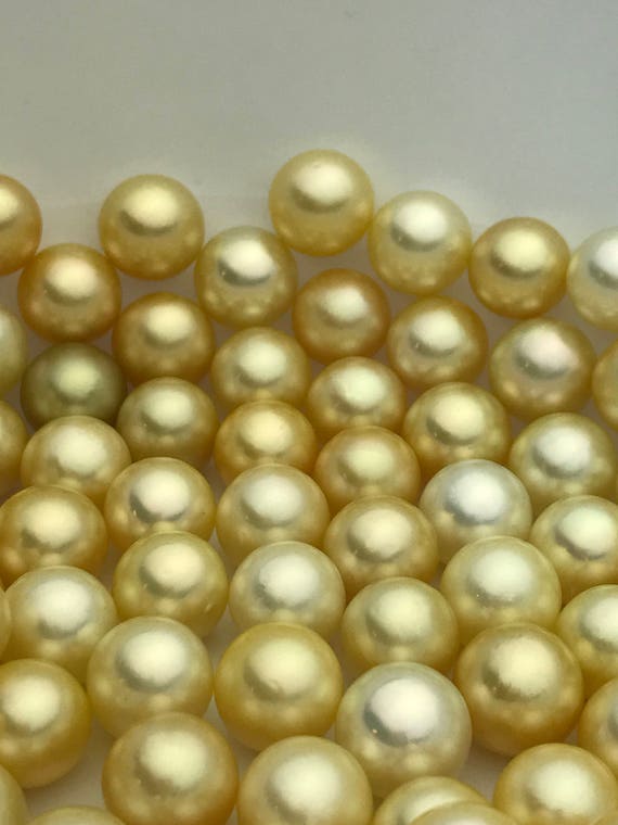 Round Golden South Sea Pearls 12mm to 16mm, Golden Pearls