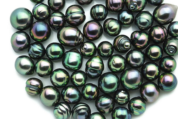 Tahitian pearls, Peacock Green Loose Pearls (104)