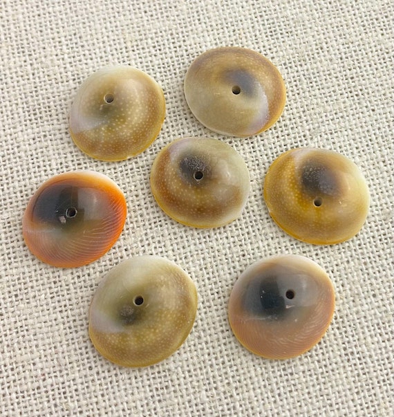 Shiva Eye Shell Bead Sku#M2004