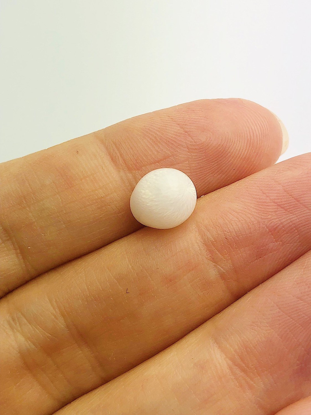 トリダクナパール(シャコ真珠)(1.92ct)