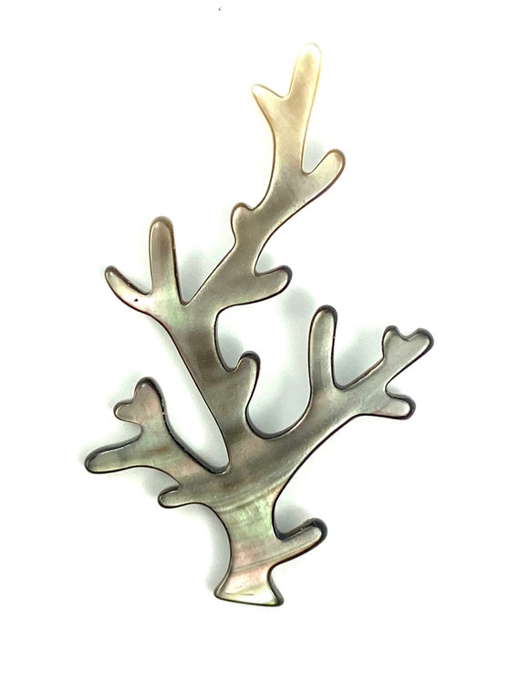 Mother Of Pearl Shell, Sku#102