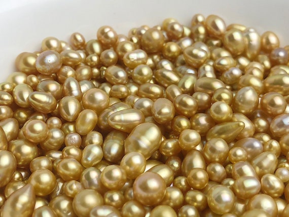 Golden Keshi South Sea Loose Pearls, Roundish - Ovals, 4mm - 14mm