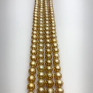 50% Off Special - Golden South Sea Pearls AA (853 No. 1-4)