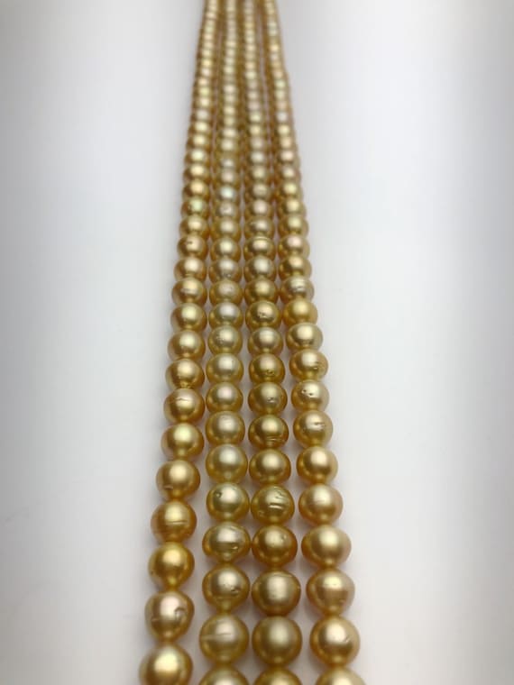 50% Off Special - Golden South Sea Pearls AA (853 No. 1-4)