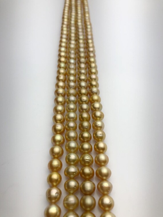 50% Off Special - Golden South Sea Pearls AA (853 No. 1-4)