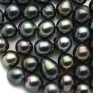 ROBERT WAN TAHITI BLACK PEARL × SILK ♀♂ Robert WAN: Premier Tahitian Pearl Specialist | Exquisite