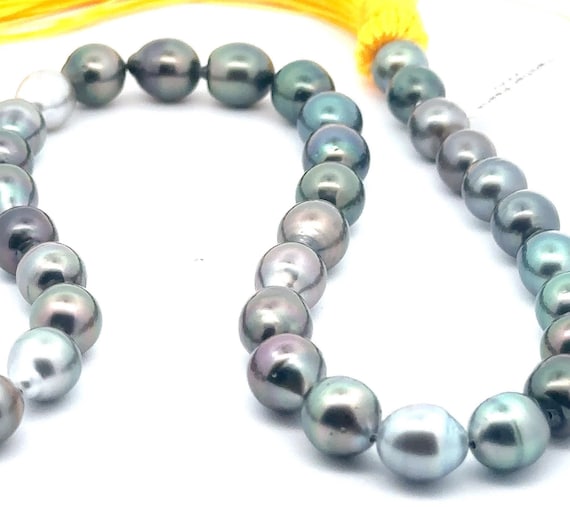 Tahitian pearl strand, 100% natural colors. SKU#TPY105