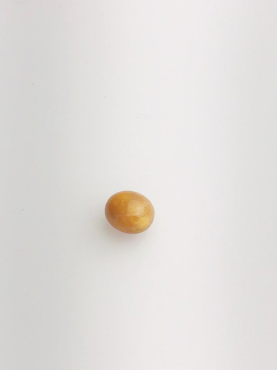 Conch Pearl Loose 7.38mm x 5.65mm No. 23