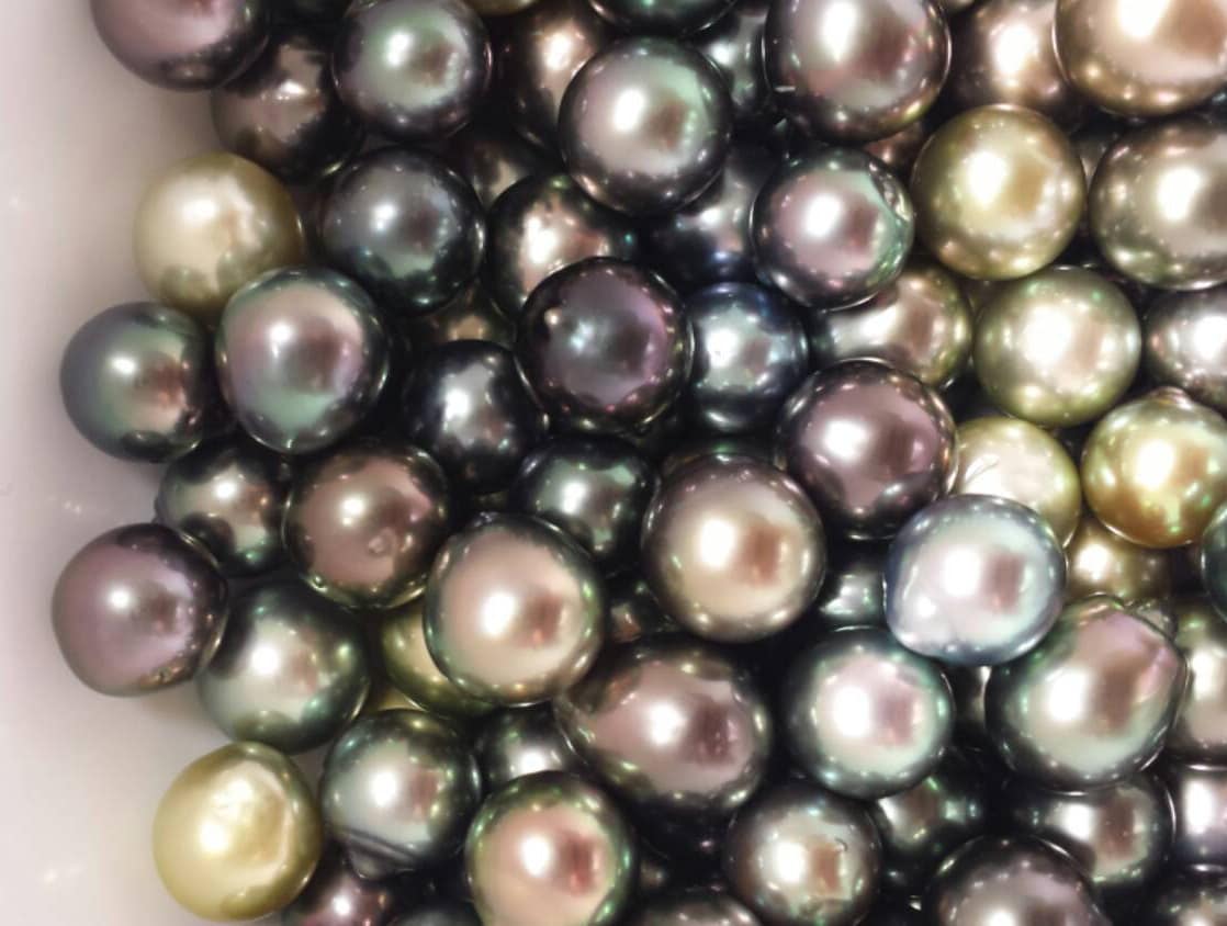 Drops - (Multi Color) - Loose Tahitian Pearls (RF 013)