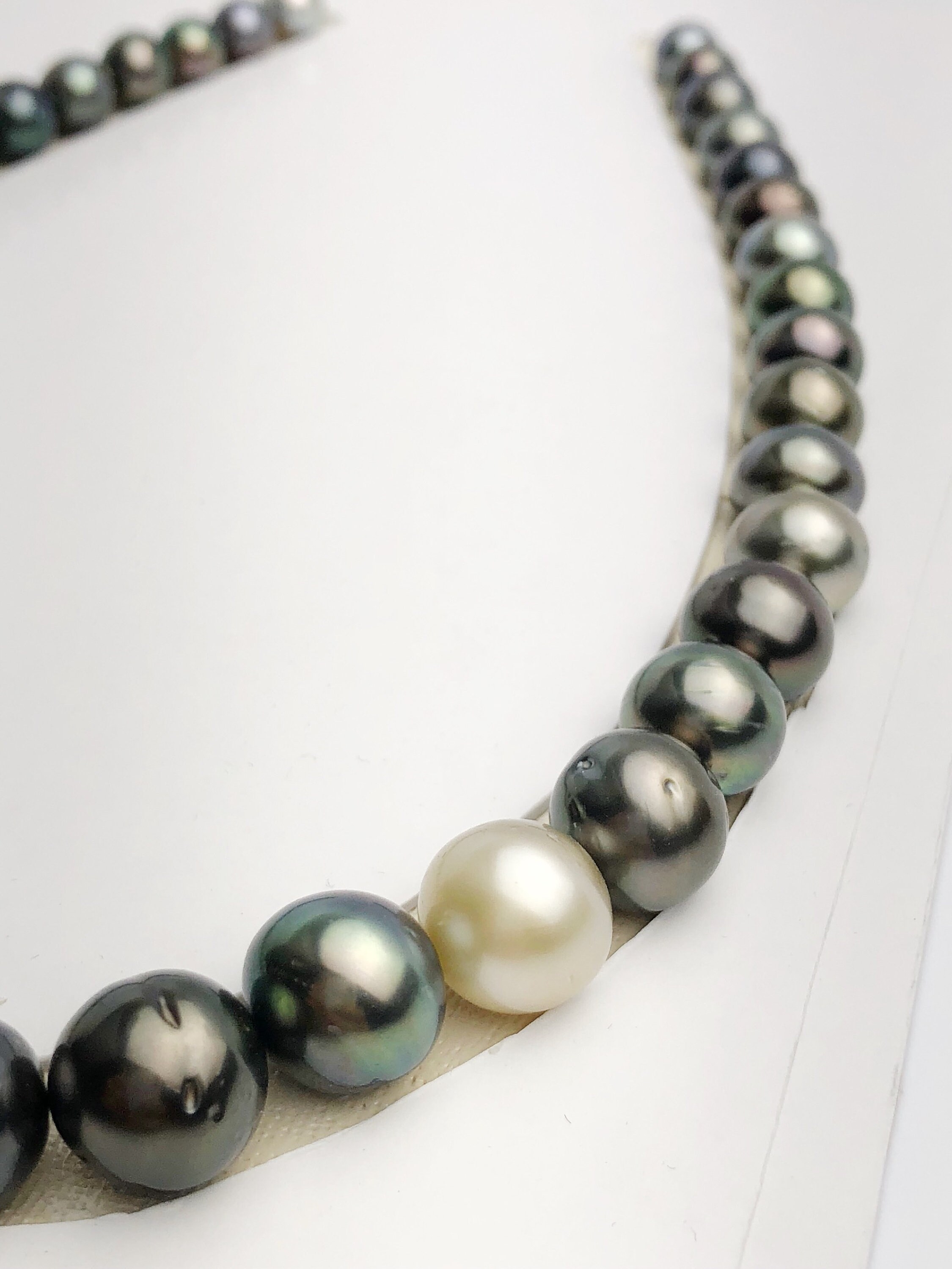 Loose Tahitian Pearls Set, Multicolor, Wholesale Only 18 per pearl