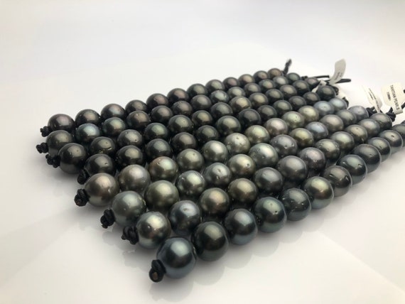 16mm HUGE 50% Off Special - Tahitian Pearl Bracelets, Tahiti Pearls A+ (951 No.1-8)