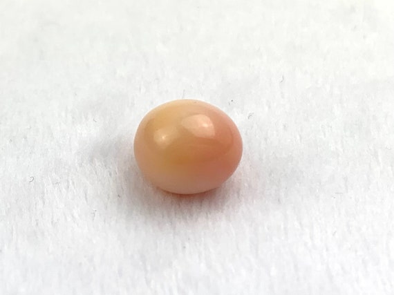 Natural Conch Loose Pearl 6.99ct #3