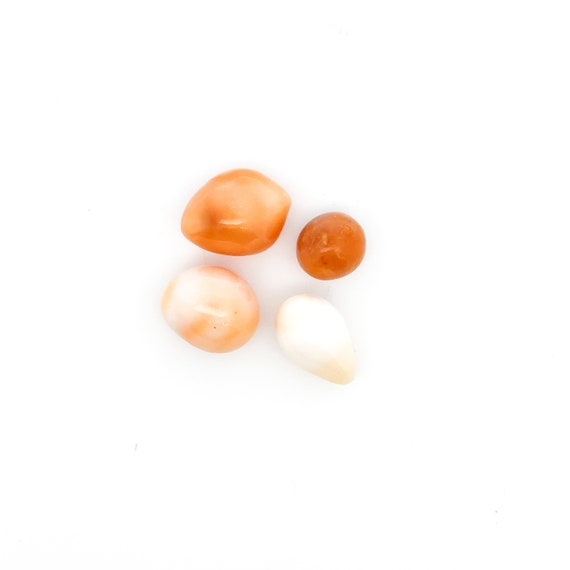 Cassis pearl, Natural Pearls, 100% Natural Pearl, SKU#CP1