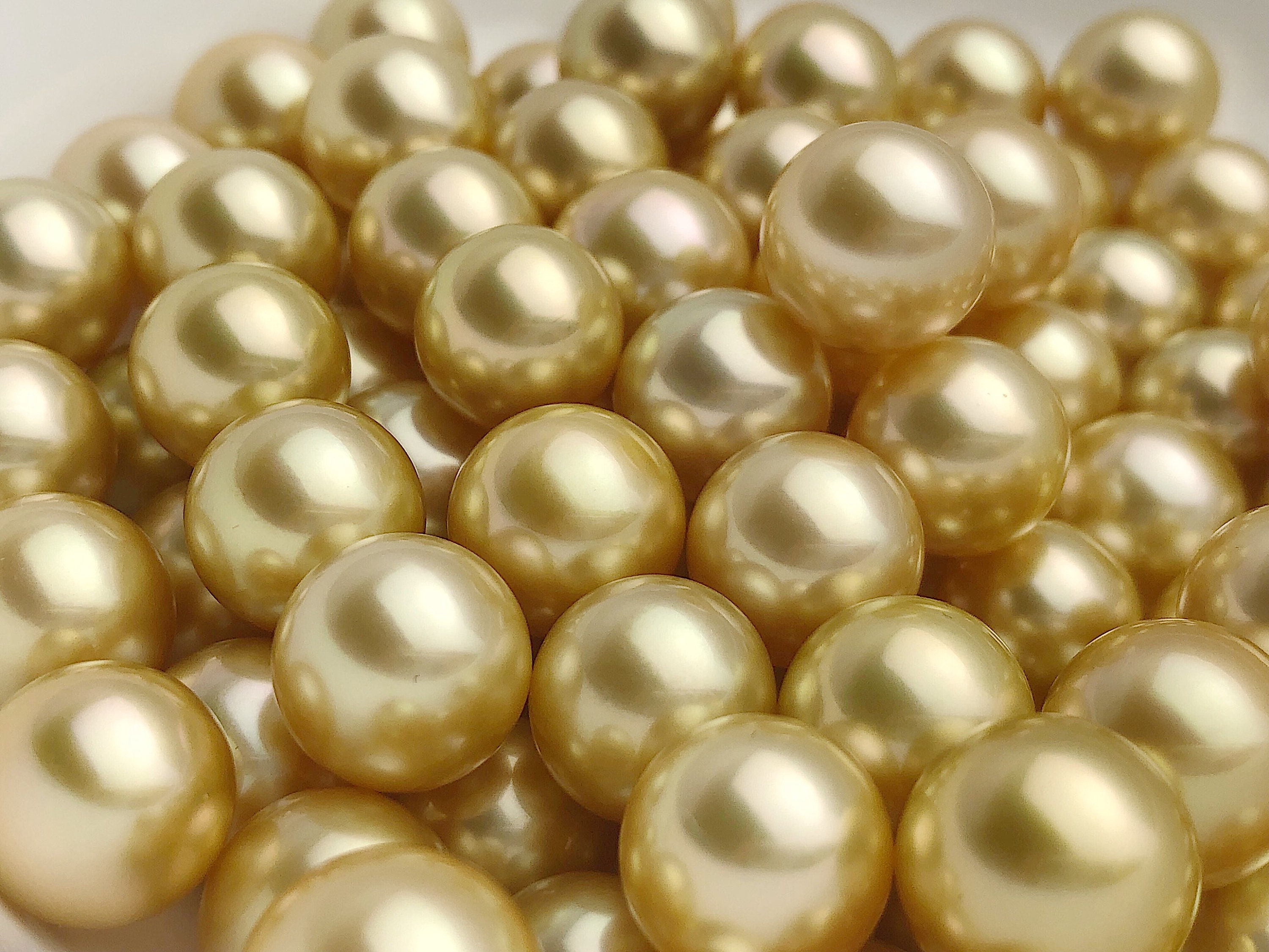 Genuine Single Golden South Sea Undrilled Round Loose Cultured Pearl - AAAA  Quality