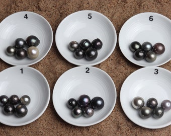 May include: Six white bowls, numbered 1 through 6, each containing a collection of black, gray, and brown pearls.