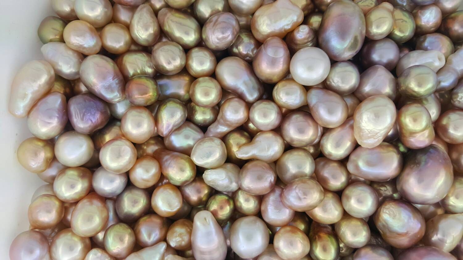 jewelry wholesale chinese freshwater pearl 201