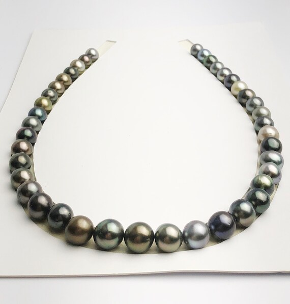 Loose Tahitian Pearls Set, Multicolor, Wholesale - Only 17 dollars per pearl - AA Quality (251)