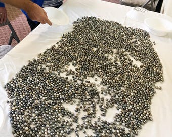 Handful of Tahitian Pearls, Black Tahiti Pearls, Tahitian Pearl, Direct from Farmers in Tahiti