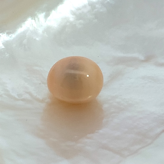 Natural Melo Melo loose pearl, 100% Natural pearl, Similar to conch pearl, Natural Pearl, Melo Melo Pearl